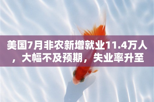 美国7月非农新增就业11.4万人，大幅不及预期，失业率升至4.3%