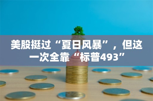 美股挺过“夏日风暴”，但这一次全靠“标普493”