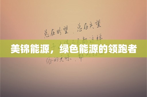 美锦能源，绿色能源的领跑者