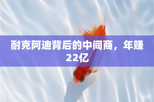 耐克阿迪背后的中间商，年赚22亿