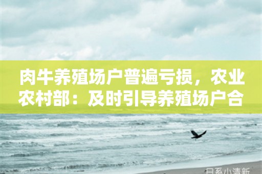 肉牛养殖场户普遍亏损，农业农村部：及时引导养殖场户合理调整养殖规模