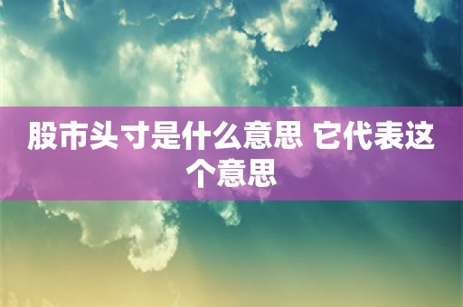 股市头寸是什么意思 它代表这个意思