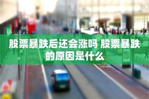 股票暴跌后还会涨吗 股票暴跌的原因是什么