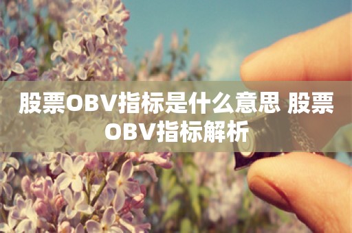 股票OBV指标是什么意思 股票OBV指标解析