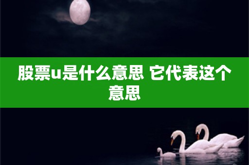 股票u是什么意思 它代表这个意思