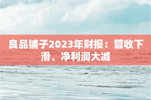 良品铺子2023年财报：营收下滑、净利润大减