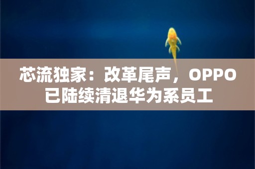 芯流独家：改革尾声，OPPO已陆续清退华为系员工