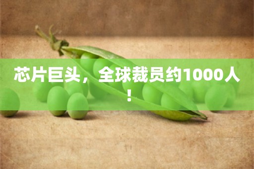 芯片巨头，全球裁员约1000人！