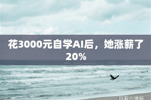 花3000元自学AI后，她涨薪了20%