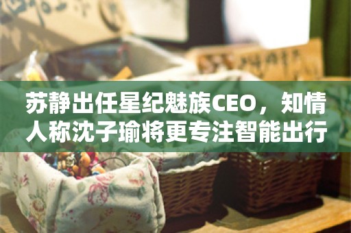 苏静出任星纪魅族CEO，知情人称沈子瑜将更专注智能出行业务