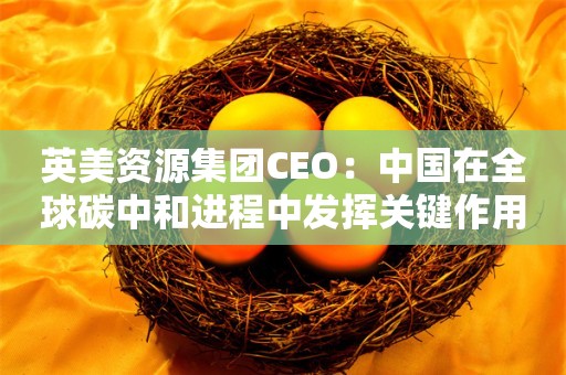 英美资源集团CEO：中国在全球碳中和进程中发挥关键作用，各方需要合作协同