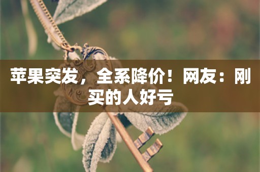 苹果突发，全系降价！网友：刚买的人好亏