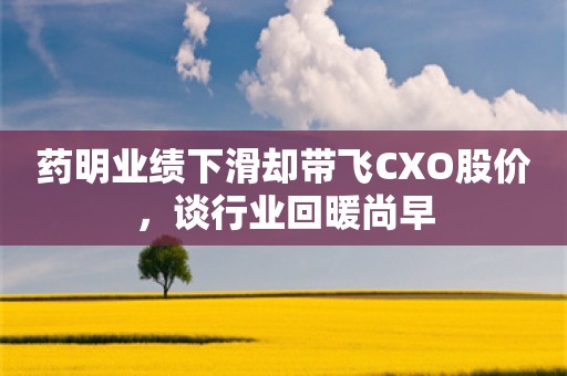 药明业绩下滑却带飞CXO股价，谈行业回暖尚早