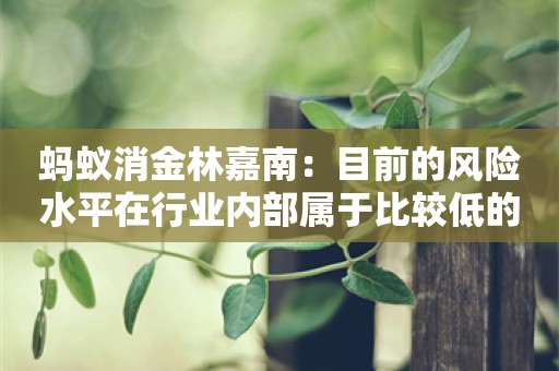 蚂蚁消金林嘉南：目前的风险水平在行业内部属于比较低的水位