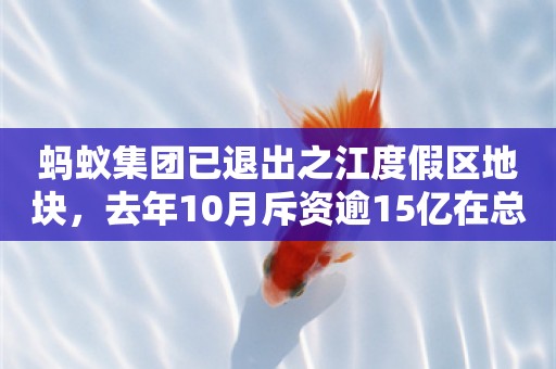 蚂蚁集团已退出之江度假区地块，去年10月斥资逾15亿在总部边上拿地