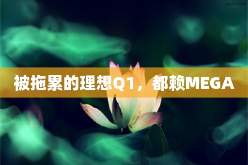 被拖累的理想Q1，都赖MEGA