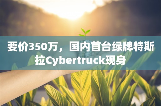 要价350万，国内首台绿牌特斯拉Cybertruck现身