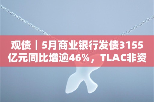 观债｜5月商业银行发债3155亿元同比增逾46%，TLAC非资本债券首次发行