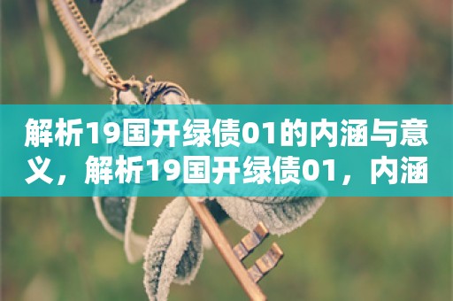 解析19国开绿债01的内涵与意义，解析19国开绿债01，内涵与意义