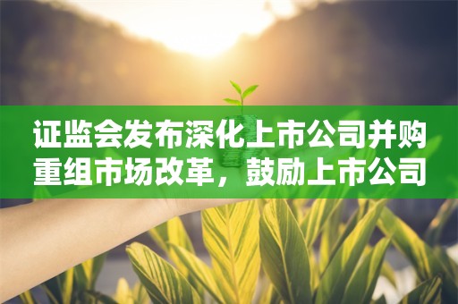 证监会发布深化上市公司并购重组市场改革，鼓励上市公司加强产业整合