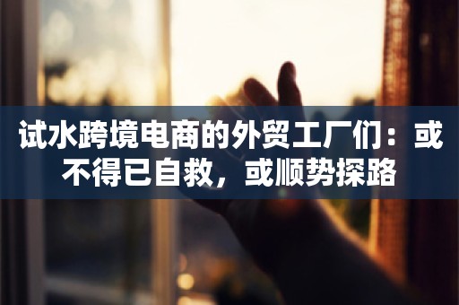 试水跨境电商的外贸工厂们：或不得已自救，或顺势探路