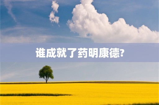 谁成就了药明康德?