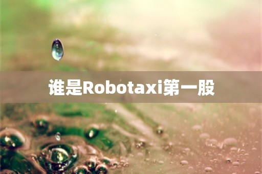 谁是Robotaxi第一股