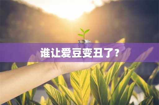 谁让爱豆变丑了？