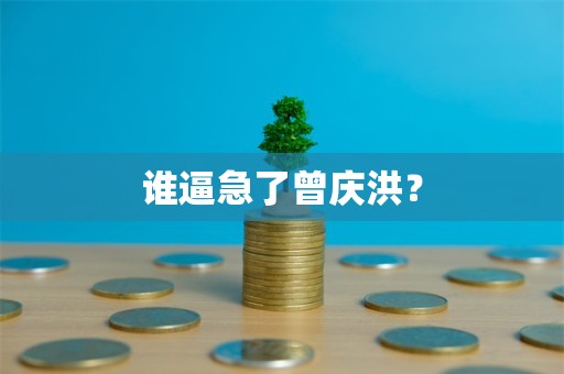 谁逼急了曾庆洪？