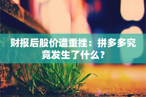 财报后股价遭重挫：拼多多究竟发生了什么？