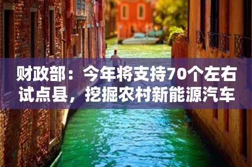 财政部：今年将支持70个左右试点县，挖掘农村新能源汽车消费潜力