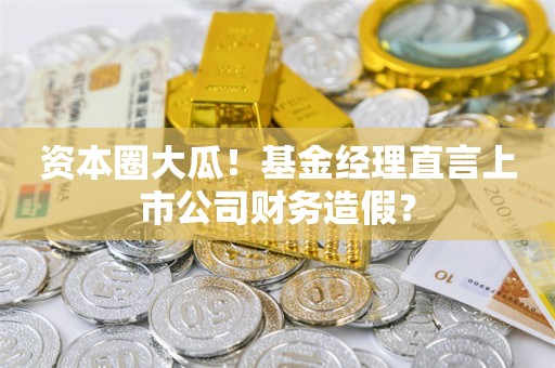 资本圈大瓜！基金经理直言上市公司财务造假？