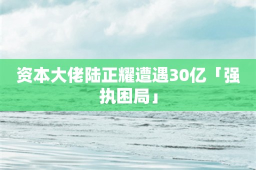 资本大佬陆正耀遭遇30亿「强执困局」