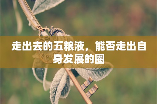 走出去的五粮液，能否走出自身发展的圈