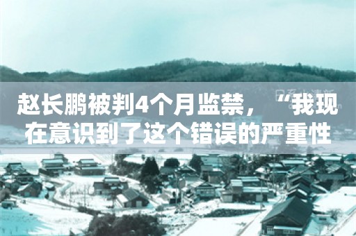 赵长鹏被判4个月监禁，“我现在意识到了这个错误的严重性”