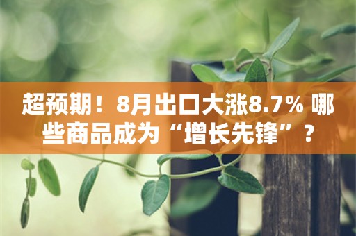 超预期！8月出口大涨8.7% 哪些商品成为“增长先锋”？