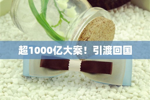 超1000亿大案！引渡回国