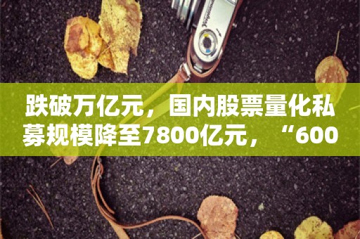 跌破万亿元，国内股票量化私募规模降至7800亿元，“600亿+”区域已全部清零