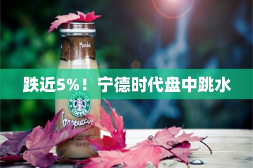 跌近5%！宁德时代盘中跳水