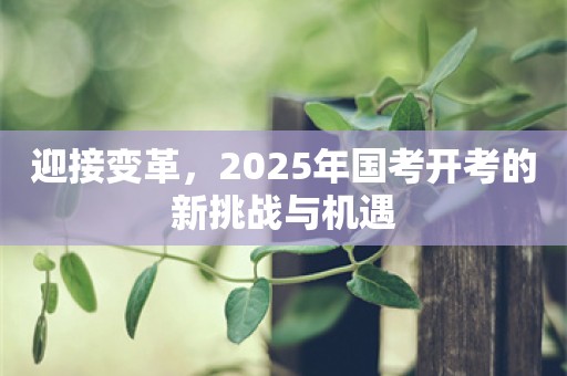 迎接变革，2025年国考开考的新挑战与机遇