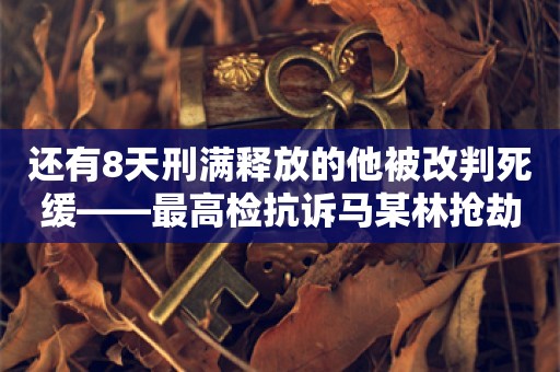 还有8天刑满释放的他被改判死缓——最高检抗诉马某林抢劫案背后