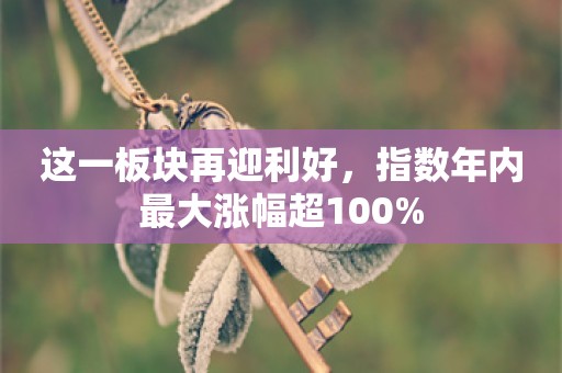 这一板块再迎利好，指数年内最大涨幅超100%