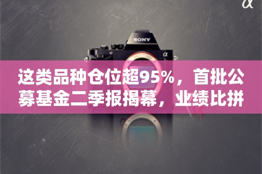 这类品种仓位超95%，首批公募基金二季报揭幕，业绩比拼开启