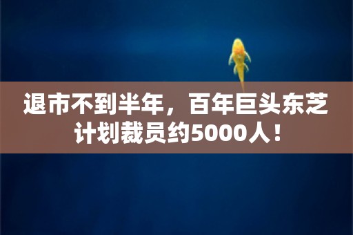 退市不到半年，百年巨头东芝计划裁员约5000人！