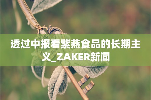 透过中报看紫燕食品的长期主义_ZAKER新闻