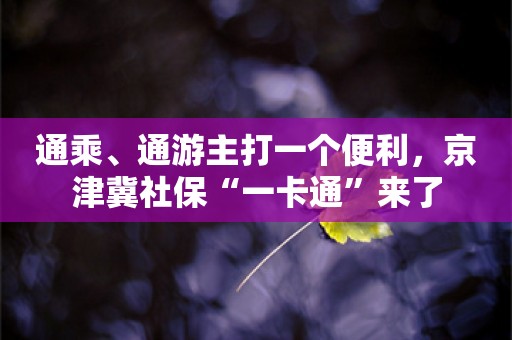 通乘、通游主打一个便利，京津冀社保“一卡通”来了