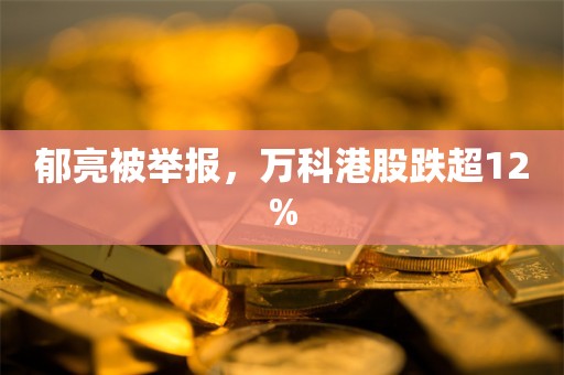 郁亮被举报，万科港股跌超12%