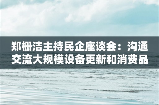 郑栅洁主持民企座谈会：沟通交流大规模设备更新和消费品以旧换新工作