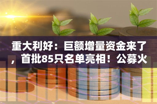 重大利好：巨额增量资金来了，首批85只名单亮相！公募火速解读