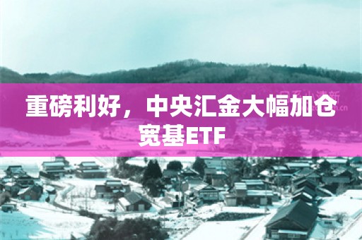 重磅利好，中央汇金大幅加仓宽基ETF